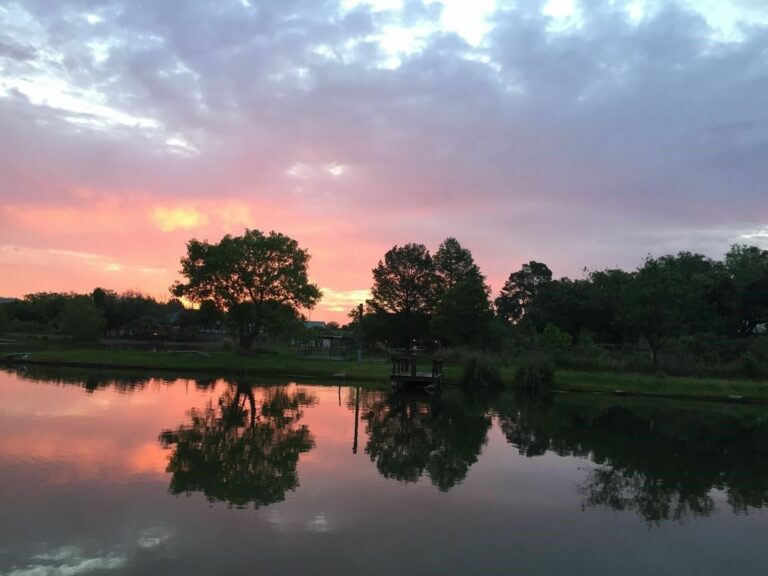 b4d9187b 765d 47ad 85bd 3194739337e5.f10 768x576