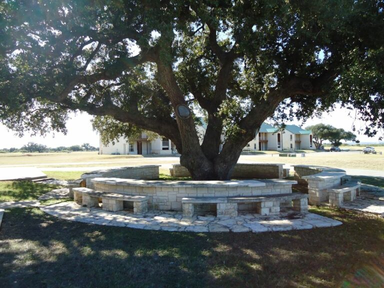 6ab83bbd 2a02 4321 99b0 2e7169d01a83.f10 10 768x576