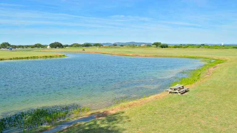 3e4acb4c d1ee 4446 8b62 03a11b65f188.f10 13 768x432