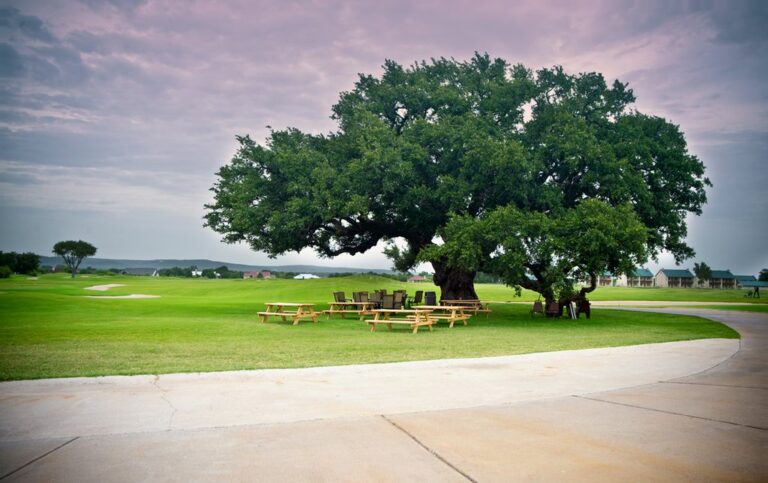 f2c60444 a06f 4528 9ae7 a0cd0f61d4a3.f10 12 768x483