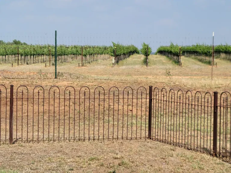 3f54c8de 275f 4cf9 8e5b bf6af25c351a 768x576