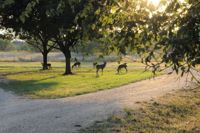 5c6fea6e 96b7 4c43 badf 135afd078a50 768x510