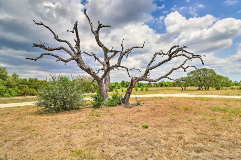 9988c073 becb 443d 9625 fc4d66389b8b 768x512