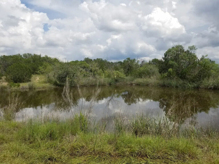 092acb4c 3b0c 4f80 80ea 64bc3da081f9 1 768x576