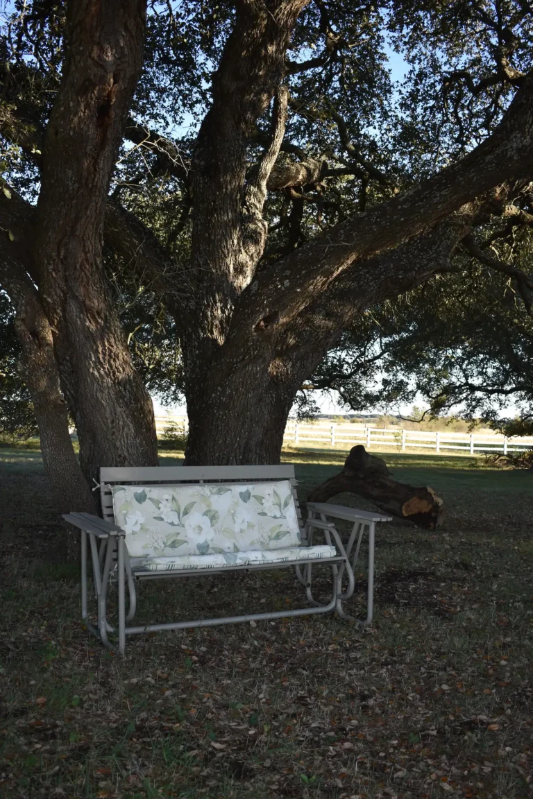 816a8d64 c622 4504 a228 b797a1f7508f 768x1152