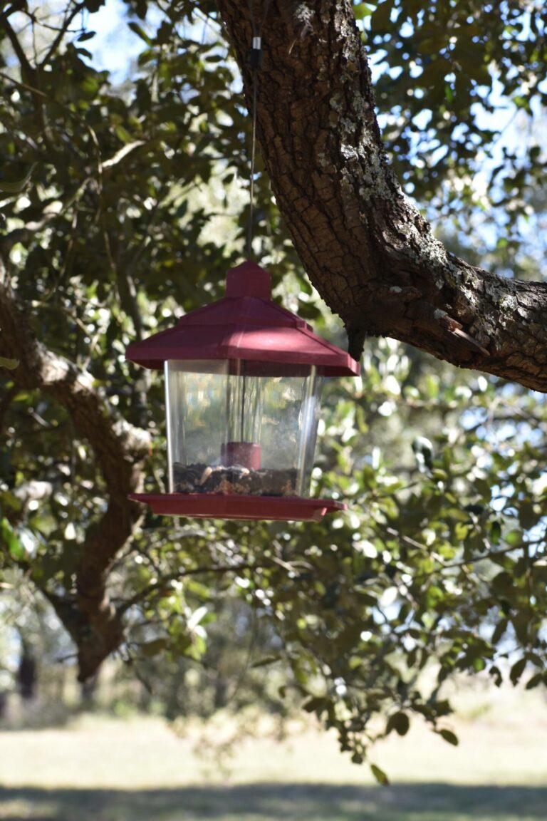 908489b2 5e7e 44d1 8912 fc7283856eff 768x1152