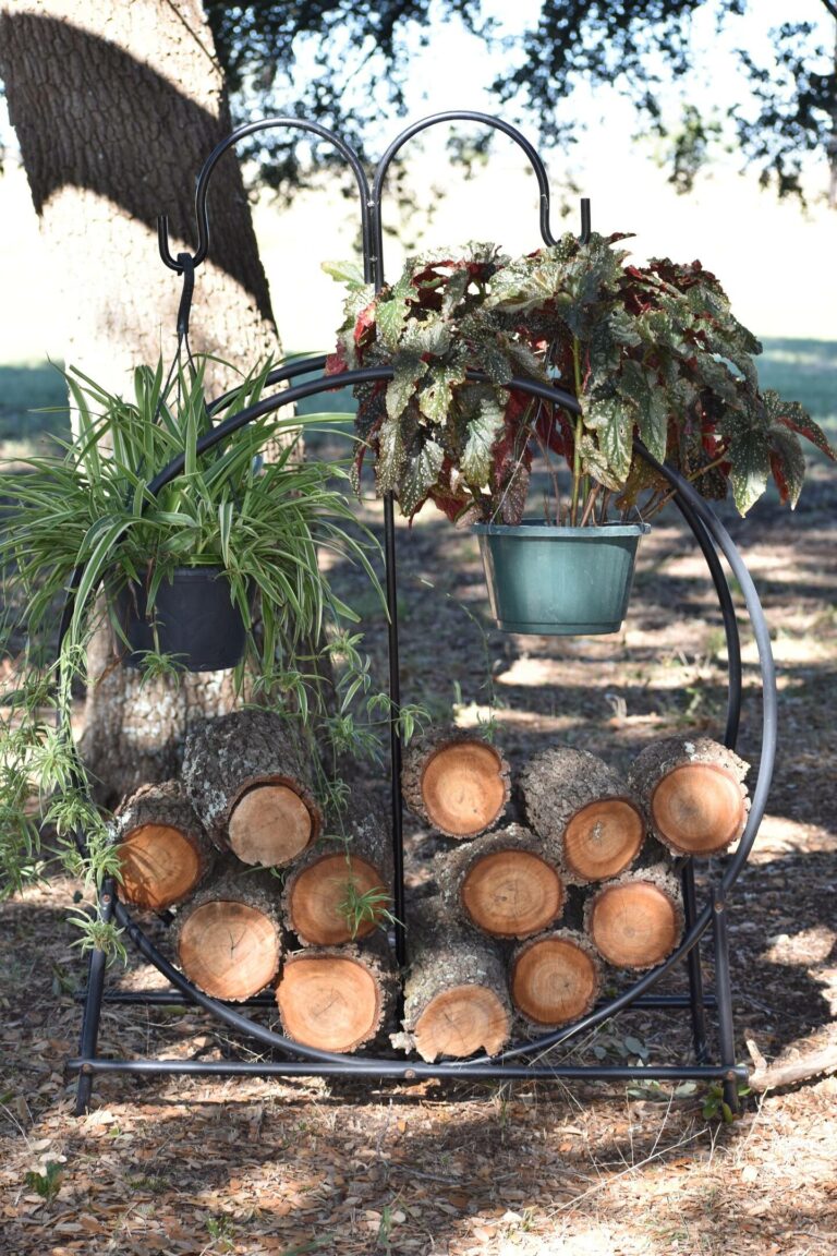 ea723d5d 5f16 4bc9 aaae c85437884fcb 768x1152