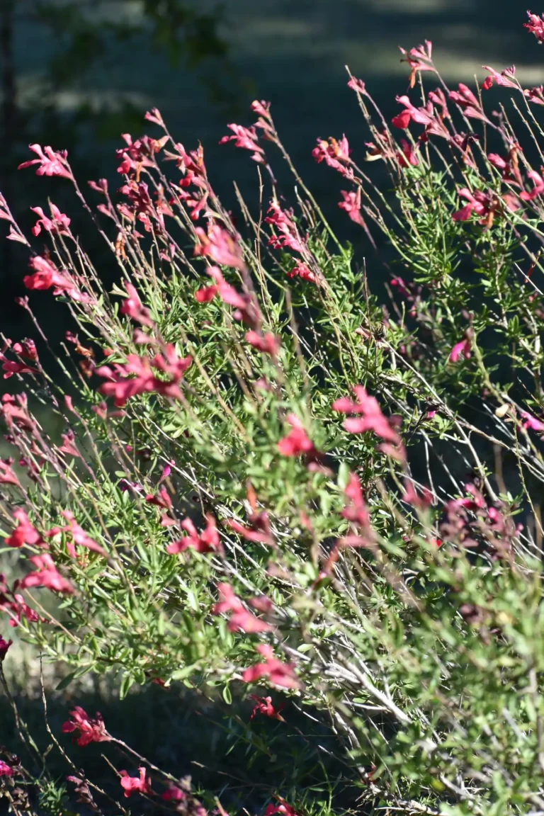 e0e43790 8244 4ccb b553 f470df8f389d 768x1152