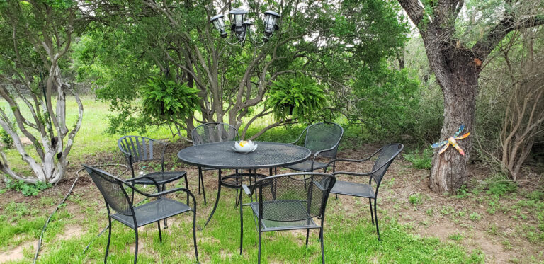 25e6f729 c98b 4b46 b727 d47df49c7a20 768x373