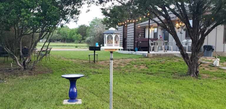 570197ec 36a7 4add b83a fcc0c510dba4 768x373