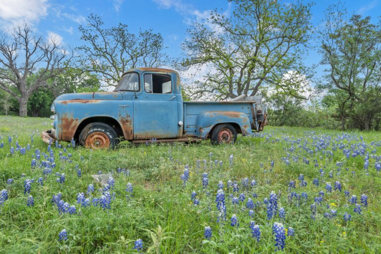 rxxgrhmbtv57slnqjgyx 768x512