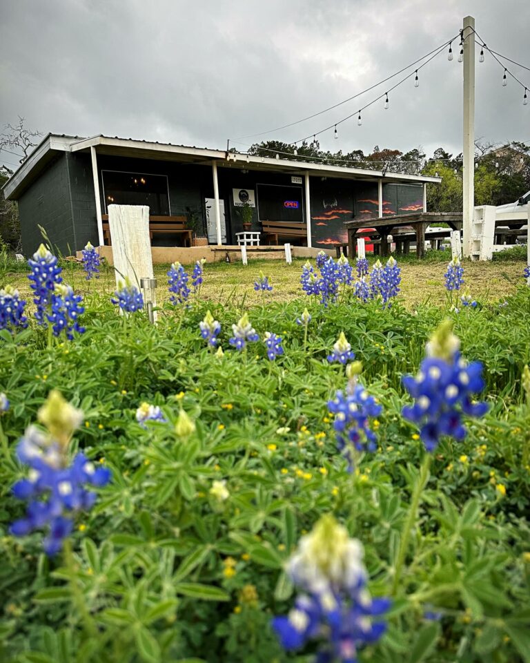 432440986 17975433629674926 8883582470685143963 n 768x960