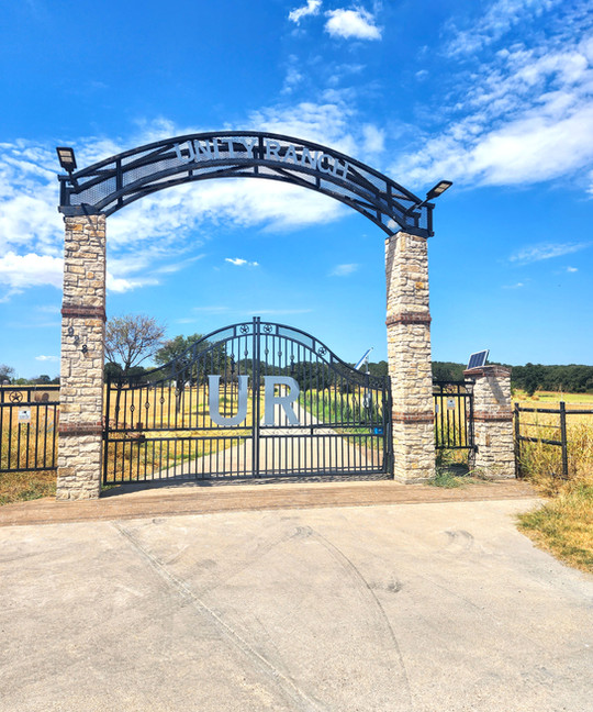 2f56e6 69b227d50f3d46fca2c5d640d109d952mv2