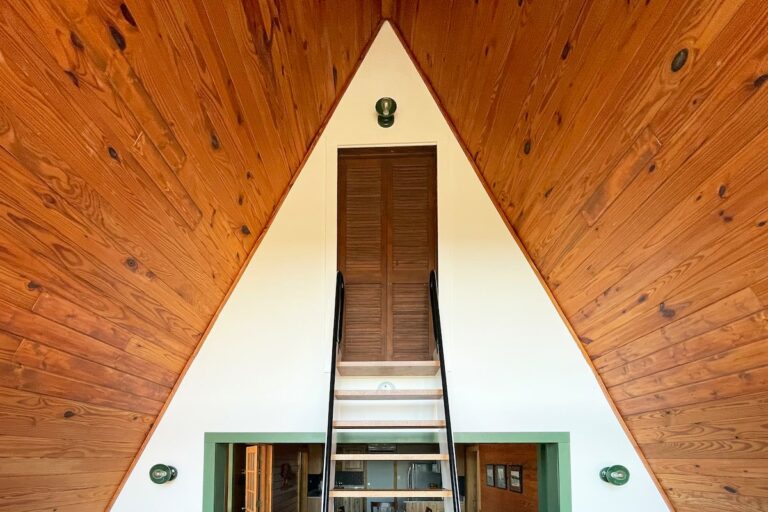 88d36cf4 54db 4d5d b583 0ecee85b376b 768x512