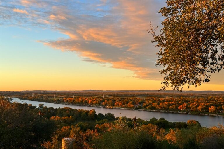 010fb4e2 ee65 42c9 a9ad 6e5224ba1928 768x513