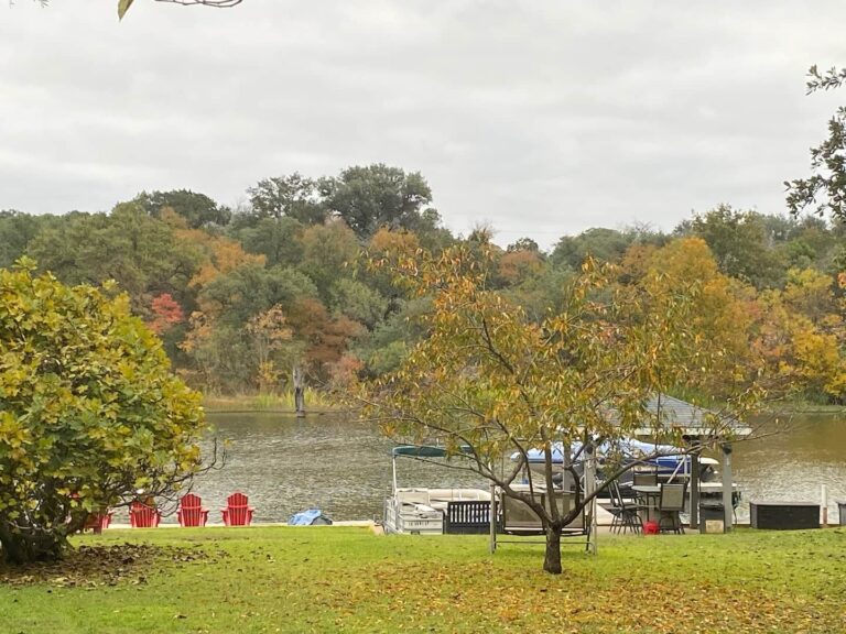 13a3869f 19b5 4cb5 a4a2 3b239ae53470 768x576