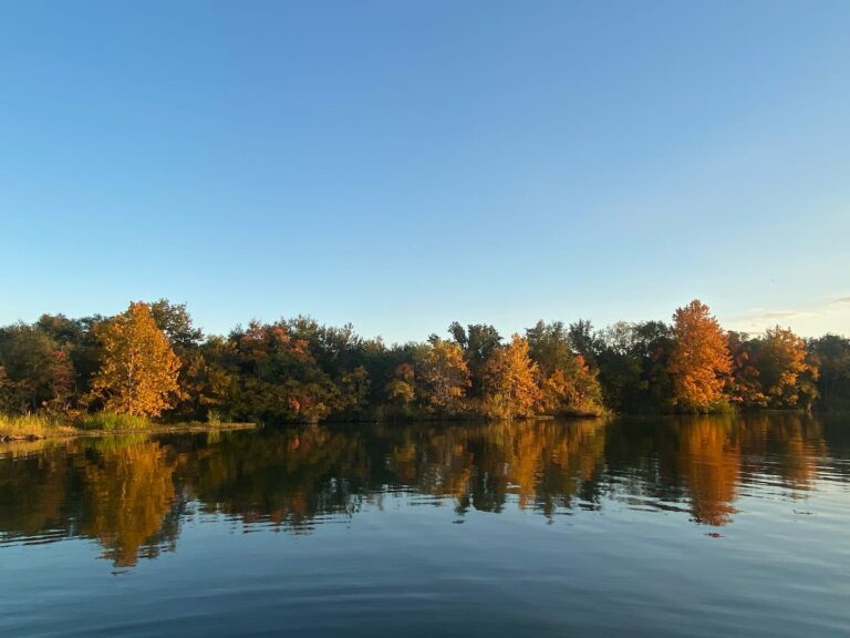 332af1f5 1076 4750 8bee 261c9ff200cc 768x576