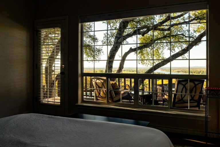 70ace47d b5cc 4392 b458 59f05a5e08c3 768x512