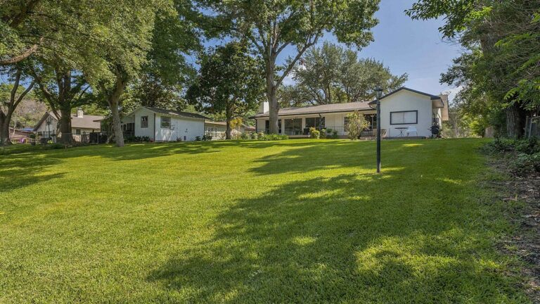 cbe44698 b221 45d2 9578 13ff8c0b6e7f 768x432