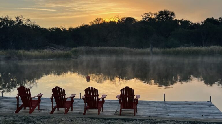 80f11fd9 3e59 4339 8db6 83e003ef6417 768x432