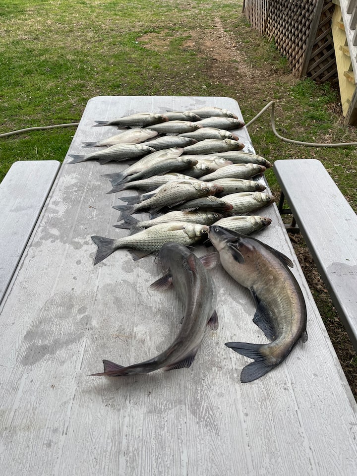 294e5ed8 2f27 4fe1 b072 5a9512a38e9b