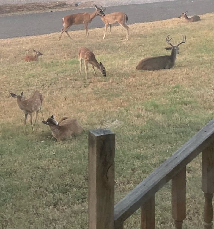 74a8ad3d 28b1 4c6a a2a1 cf5508f46854