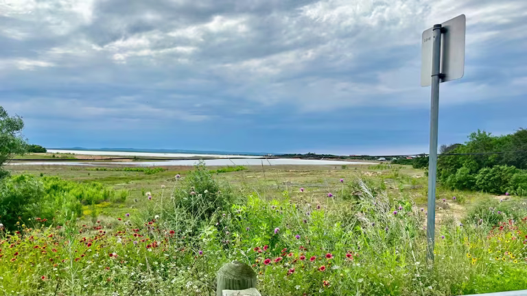 8a9ed78e 0283 440f 886c 4546ebd817bb 768x432