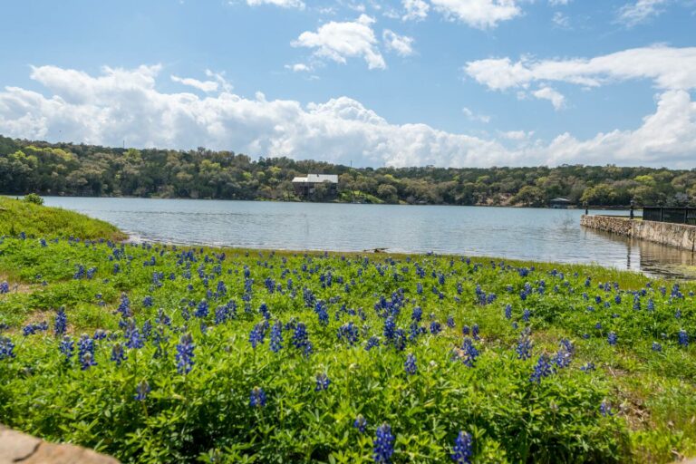 ec41cf6f d343 4f29 b53b 21a00b6ddee6 768x512