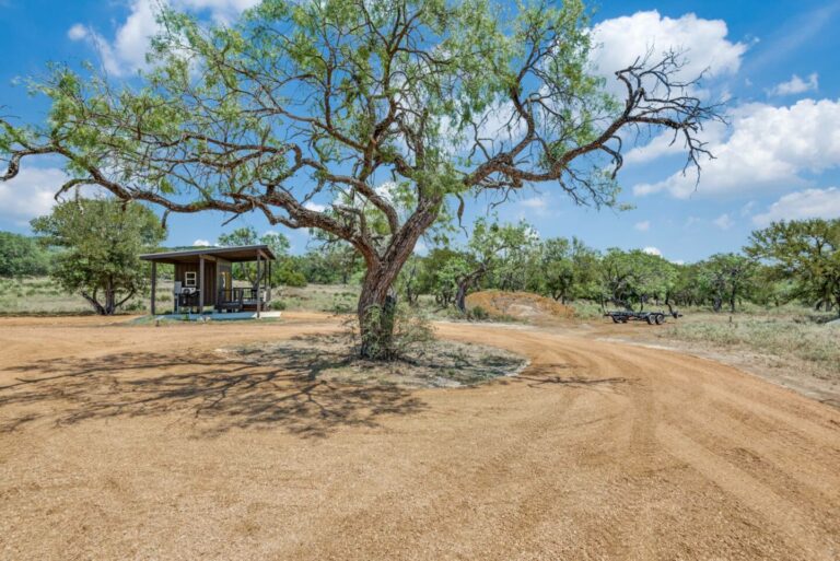 8be743b8 5b3b 4deb 9bd2 2a7468e6f54d 768x513