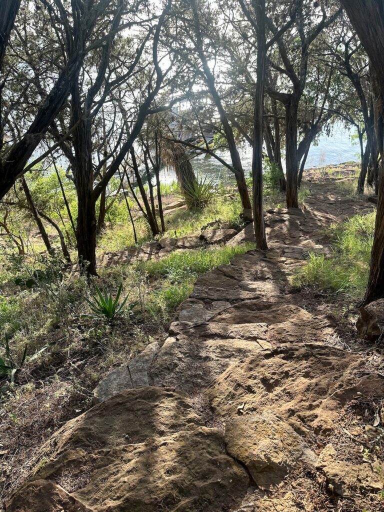 c5f5eedc 4e0a 4097 a3c3 e696dda86401 768x1024